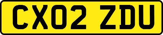 CX02ZDU