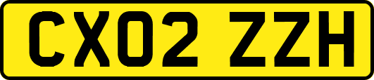 CX02ZZH