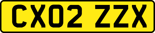 CX02ZZX