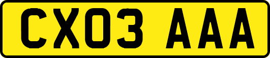 CX03AAA