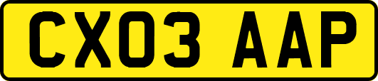 CX03AAP