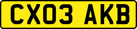 CX03AKB