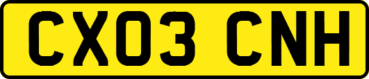 CX03CNH