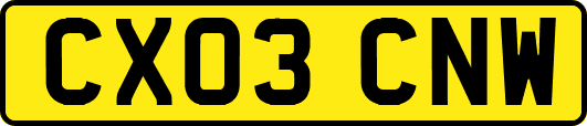 CX03CNW