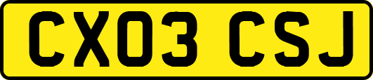 CX03CSJ