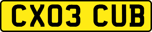 CX03CUB