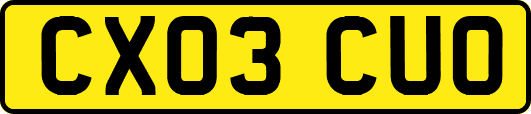 CX03CUO