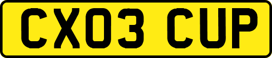 CX03CUP