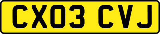 CX03CVJ