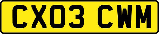 CX03CWM