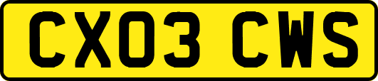 CX03CWS
