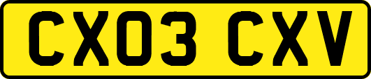 CX03CXV