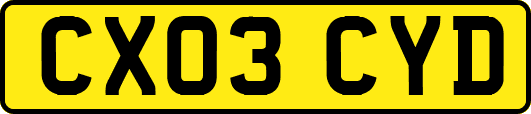 CX03CYD