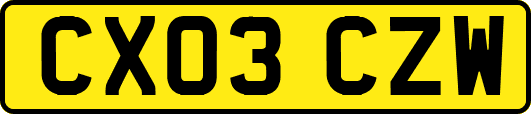 CX03CZW
