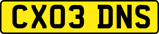 CX03DNS