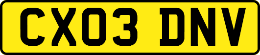 CX03DNV
