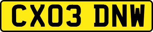 CX03DNW