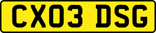 CX03DSG
