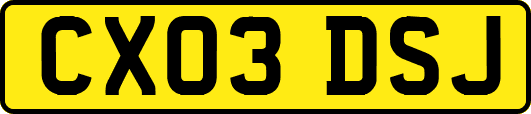 CX03DSJ