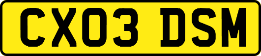 CX03DSM