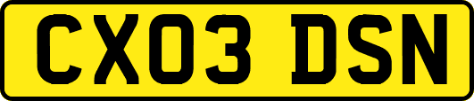 CX03DSN