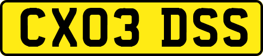 CX03DSS