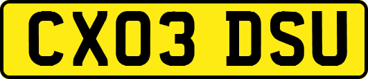 CX03DSU