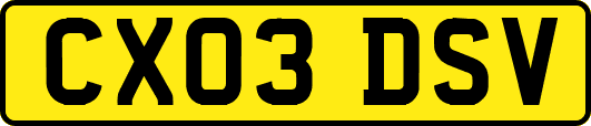 CX03DSV