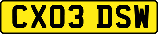 CX03DSW