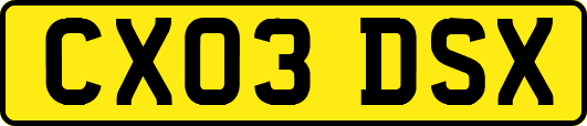 CX03DSX