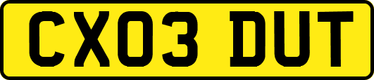 CX03DUT