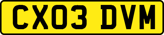 CX03DVM