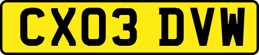 CX03DVW