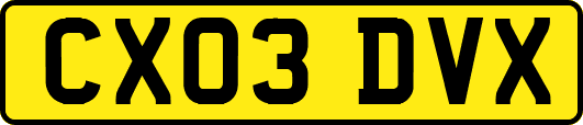 CX03DVX