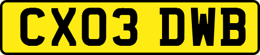 CX03DWB