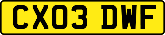 CX03DWF