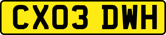 CX03DWH