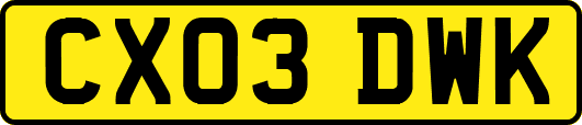 CX03DWK