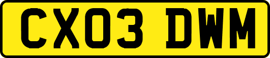 CX03DWM
