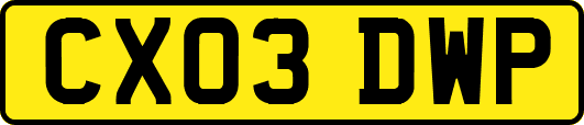 CX03DWP