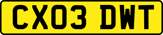 CX03DWT