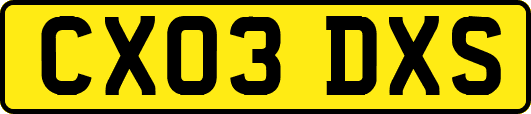 CX03DXS