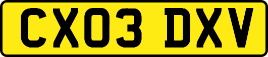 CX03DXV