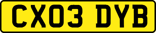 CX03DYB