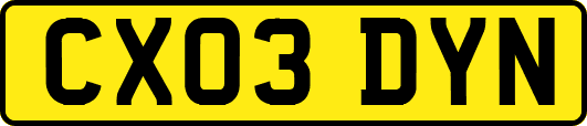 CX03DYN