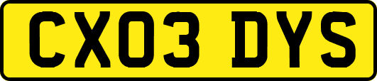 CX03DYS