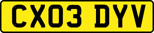 CX03DYV