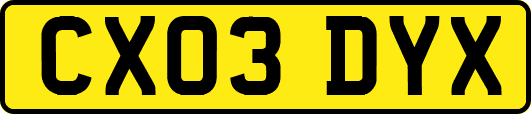 CX03DYX