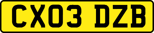 CX03DZB