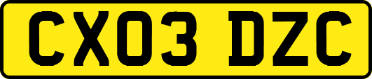 CX03DZC